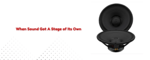 Two black replacement loudspeaker drivers placed against a white background
