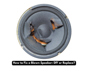 blown speaker