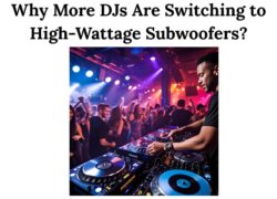 Why More DJs Are Switching to High-Wattage Subwoofers?